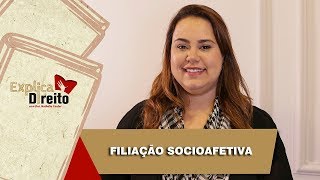 Explica Direito Filiação Socioafetiva  2019 [upl. by Bicknell]