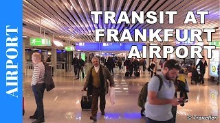 TRANSIT WALK AT FRANKFURT Airport FRA Terminal 1  Connection Flight Transfer Arriving amp Departing [upl. by Janie252]